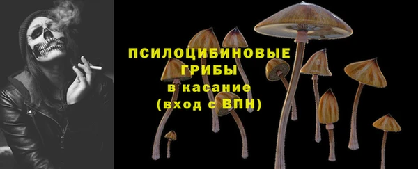 стафф Аркадак