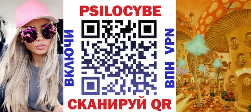 Купить закладки  Купино  Псилоцибиновые грибы мицелий 