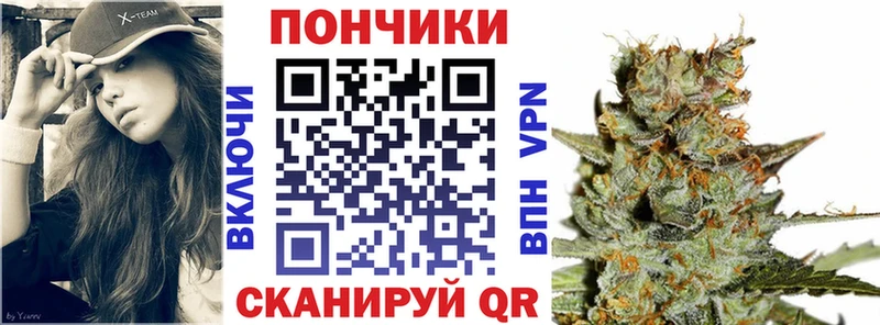 Шишки марихуана OG Kush  Купить закладки  Купино 